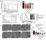 Engineering multifunctional bactericidal nanofibers for abdominal hernia repair